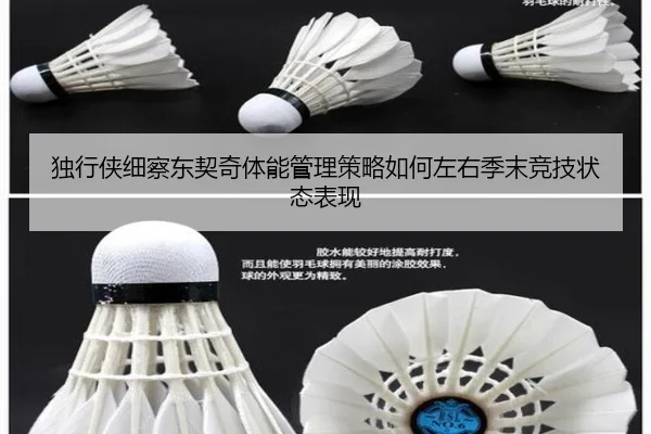独行侠细察东契奇体能管理策略如何左右季末竞技状态表现