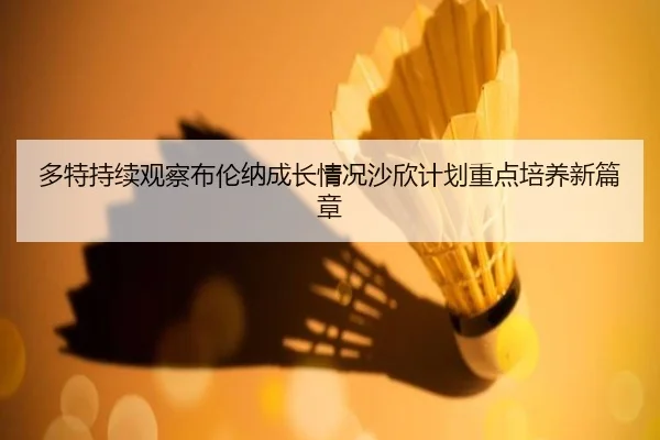 多特持续观察布伦纳成长情况沙欣计划重点培养新篇章
